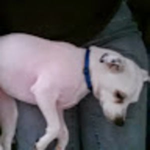 Meet your Posher, Debbie